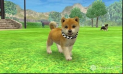 20110329_00327.jpg
