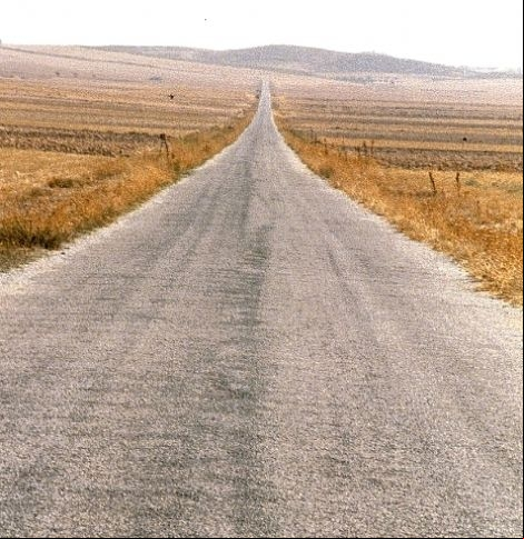 camino.jpg